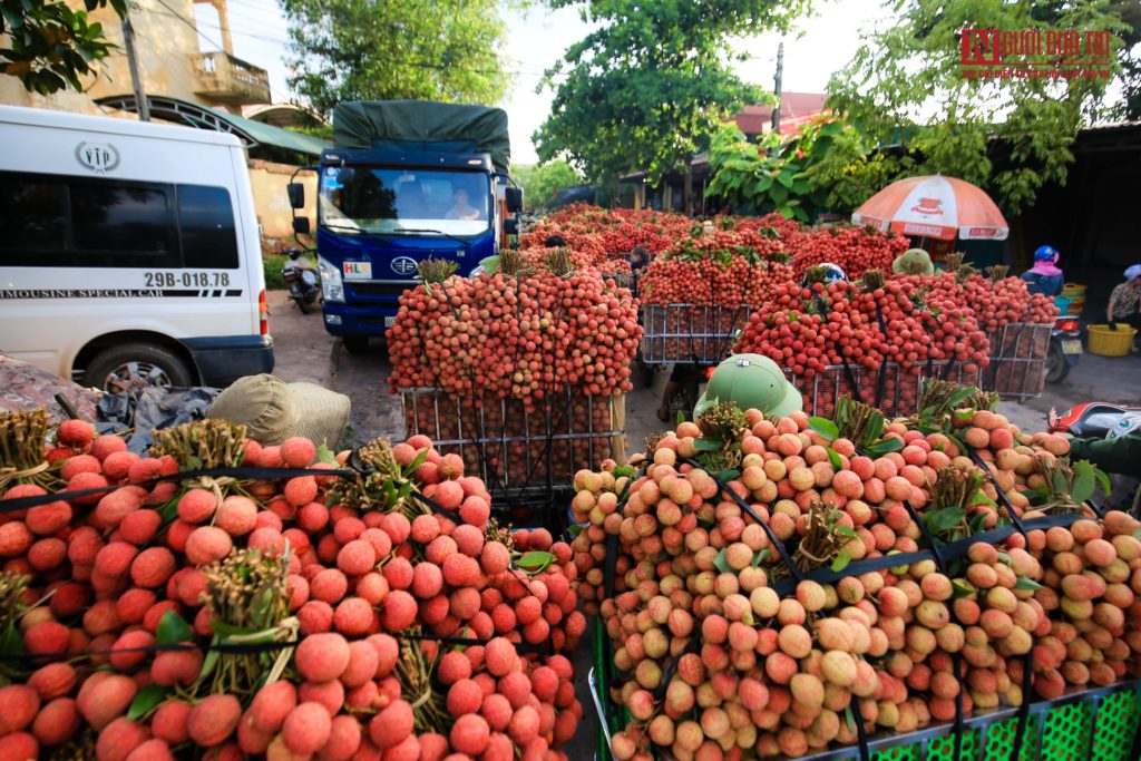 giày patin tại Bắc Giang