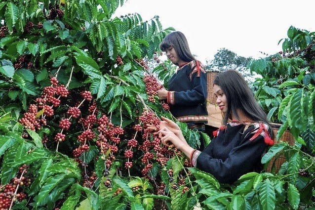 giày patin tại Đắk Lắk