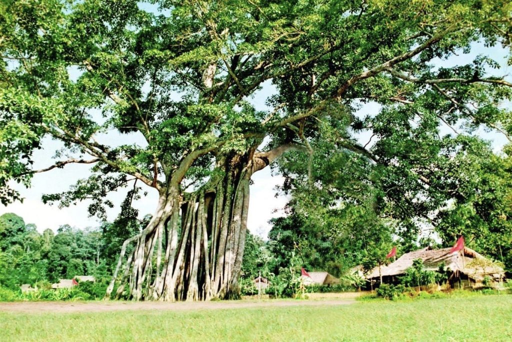 giày patin tại Tuyên Quang