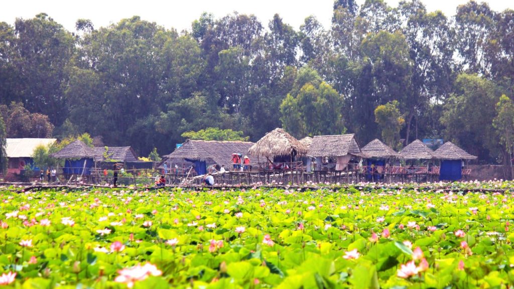 Có shop nào bán giày patin tại Long An chất lượng không ạ?