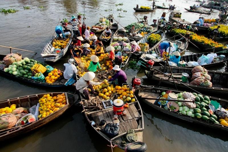 giày patin tại Tiền Giang